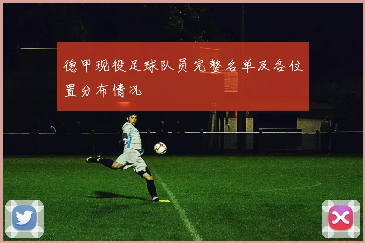 德甲现役足球队员完整名单及各位置分布情况