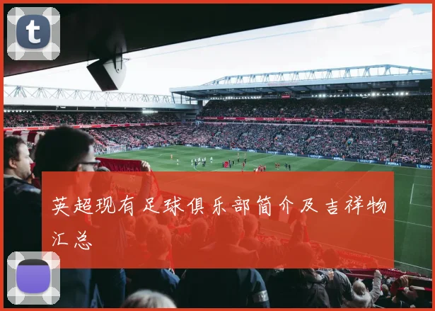 英超现有足球俱乐部简介及吉祥物汇总