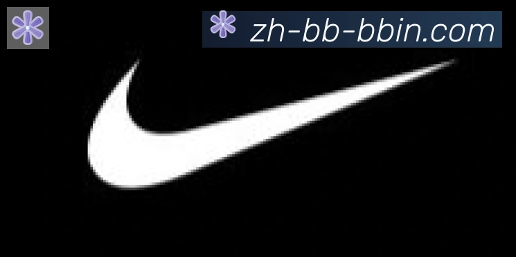 bbin宝盈合作伙伴